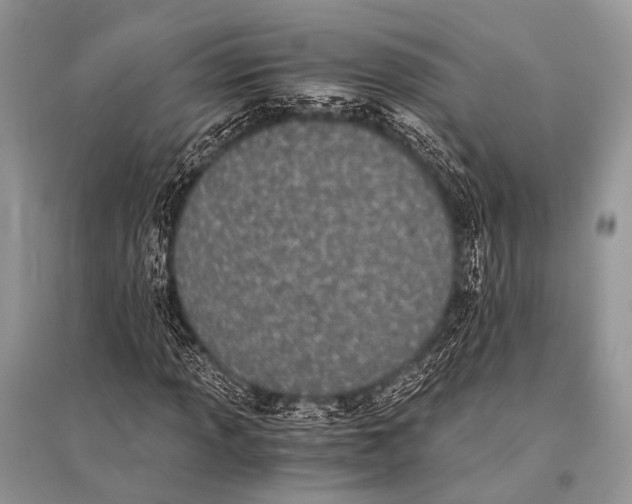 X0000094911013200712201152