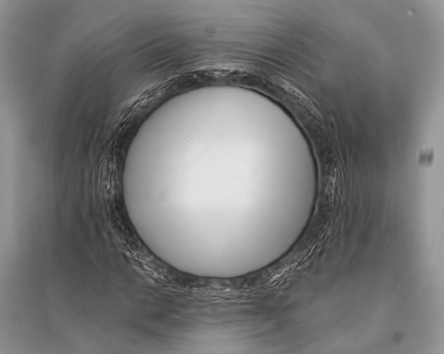 X0000094911014200712201152
