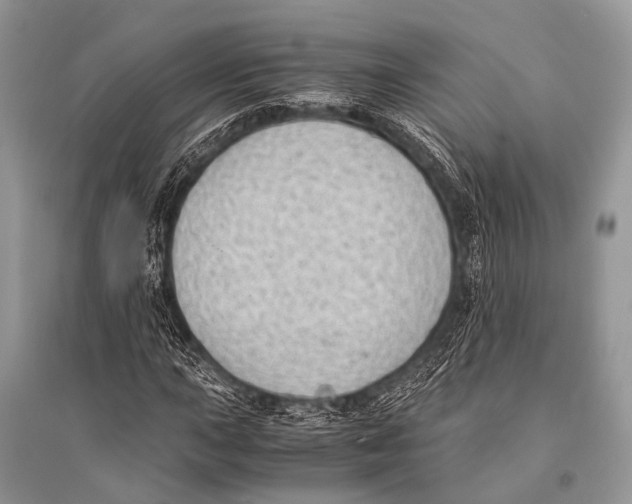 X0000094911015200712201152