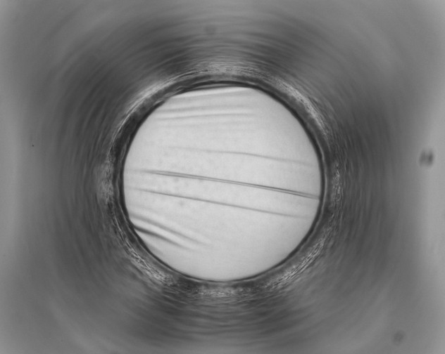 X0000094911019200712201152