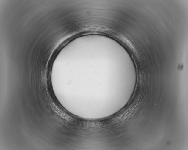 X0000094911020200712201152