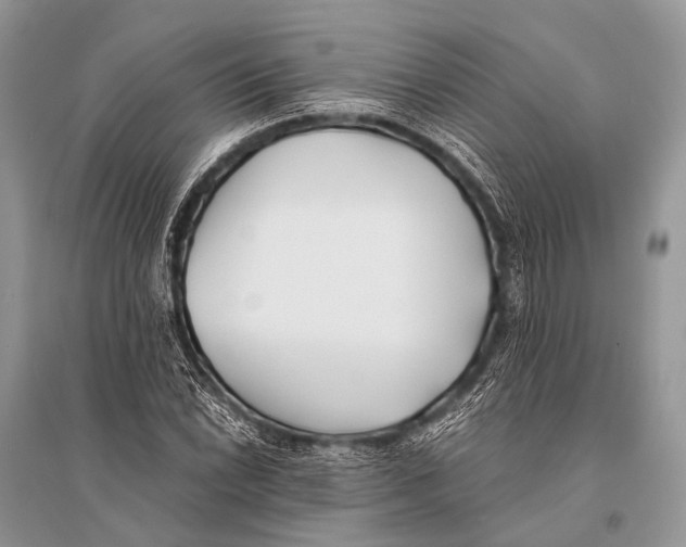 X0000094911022200712201152
