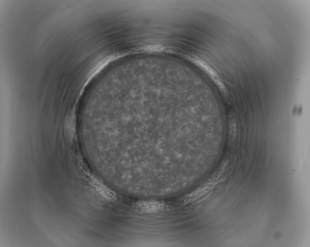 X0000094911023200712201152