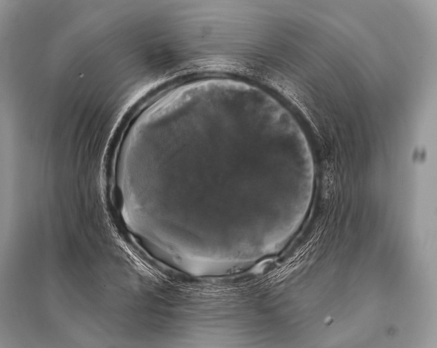 X0000094911024200712201152