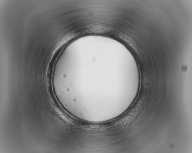 X0000094911026200712201152