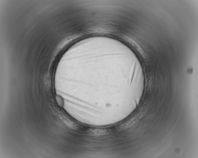 X0000094911027200712201152