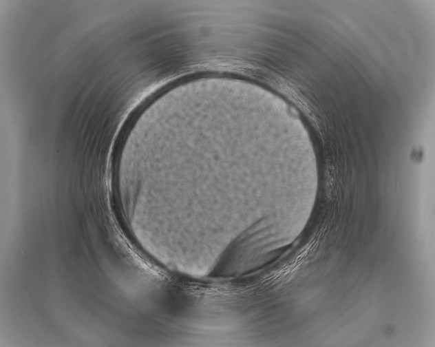 X0000094911028200712201152