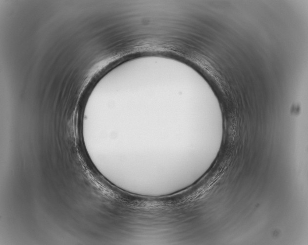 X0000094911030200712201152