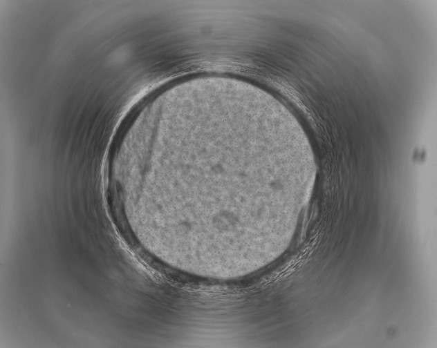 X0000094911032200712201152