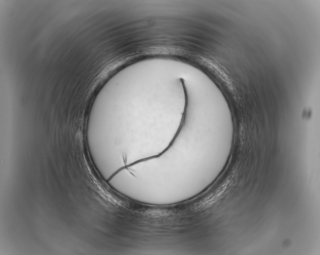 X0000094911033200712201152
