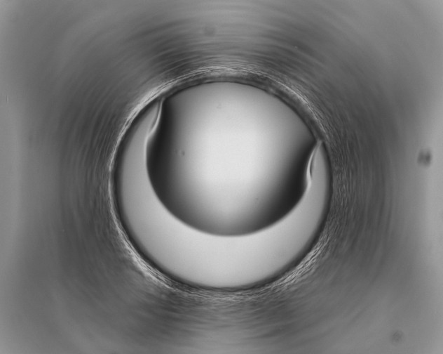 X0000094911034200712201152