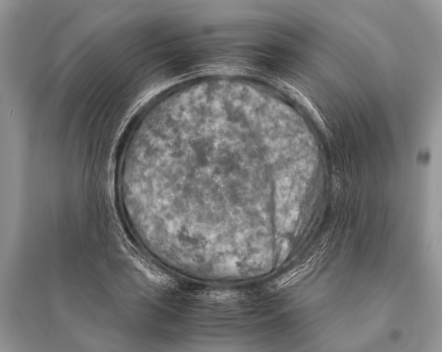 X0000094911035200712201152