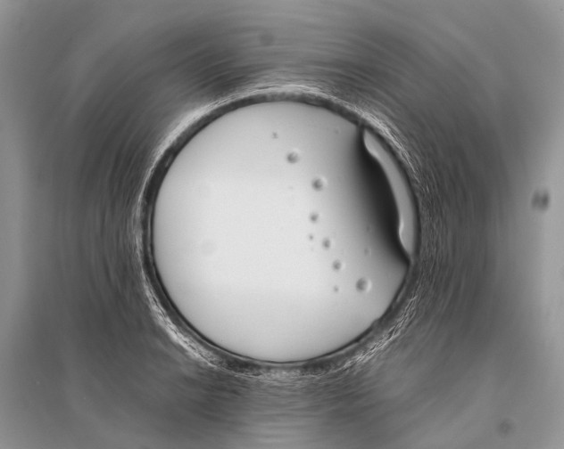X0000094911038200712201152