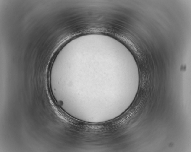 X0000094911039200712201152