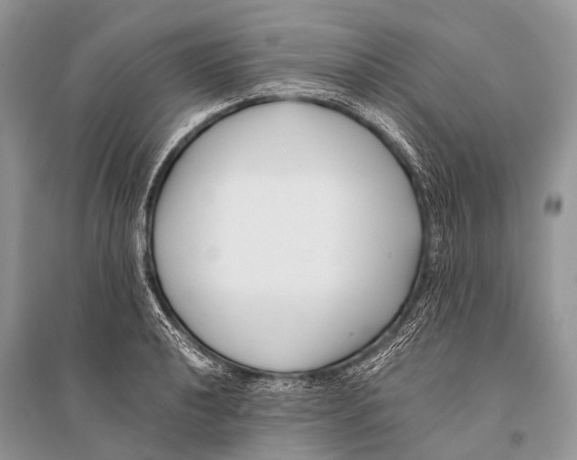 X0000094911040200712201152