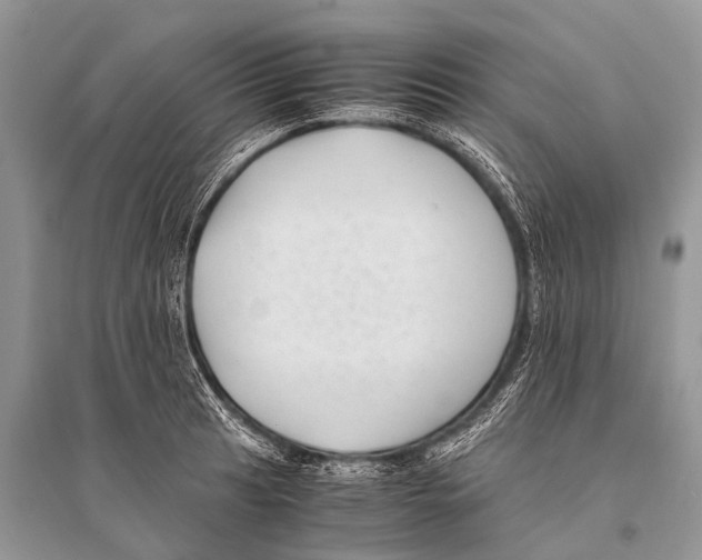 X0000094911041200712201152
