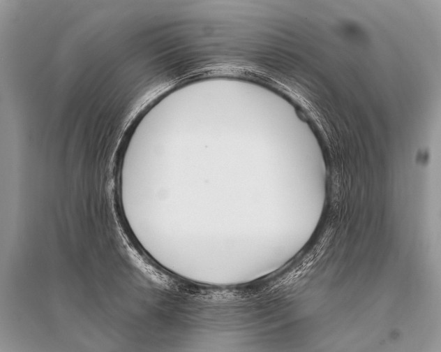X0000094911042200712201152