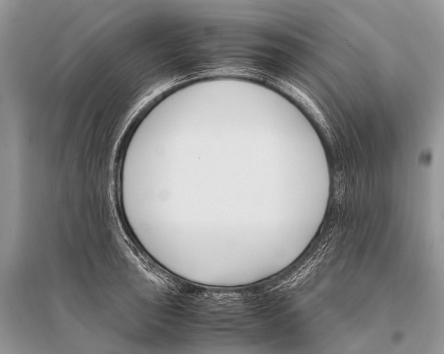 X0000094911043200712201152