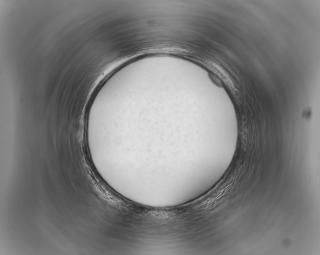 X0000094911044200712201152
