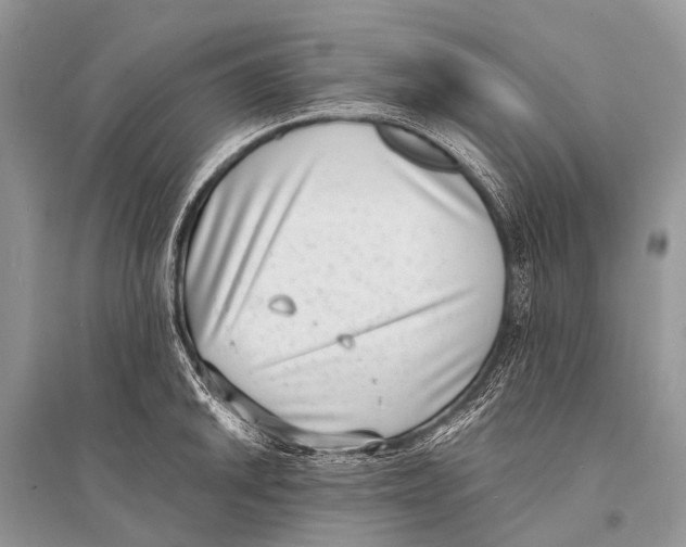 X0000094911046200712201152