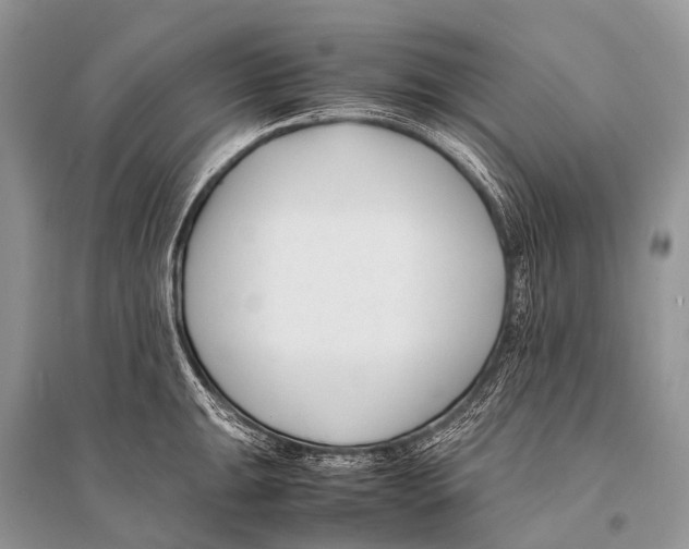 X0000094911047200712201152