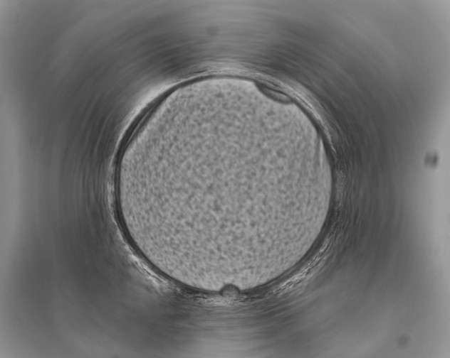 X0000094911048200712201152