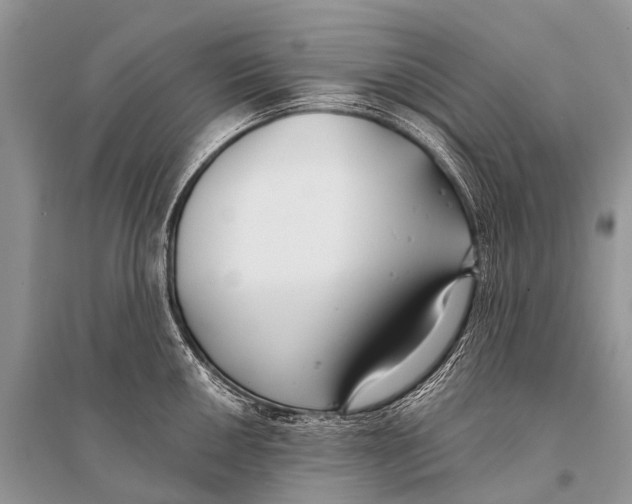 X0000094911050200712201153