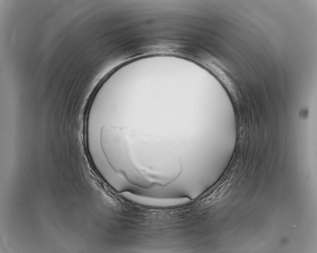 X0000094911051200712201153