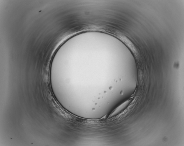 X0000094911052200712201153