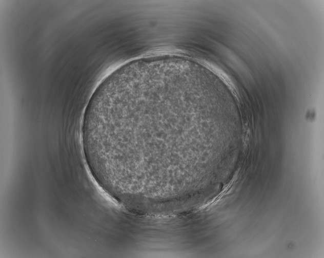 X0000094911055200712201153