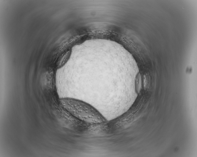 X0000094911059200712201152
