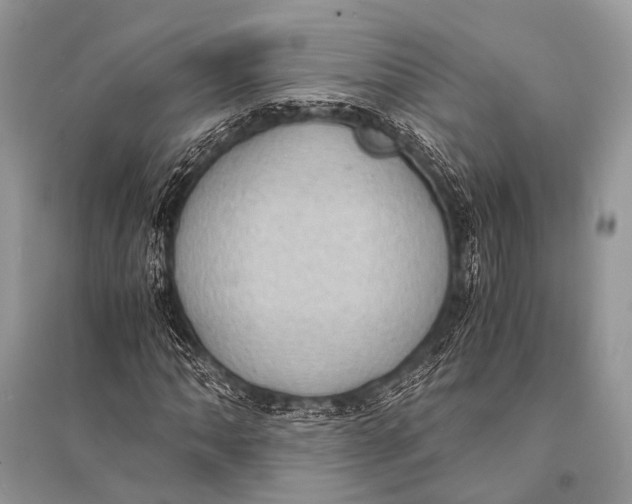 X0000094911062200712201152