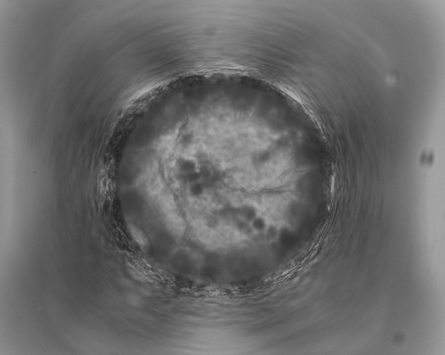 X0000094911063200712201152