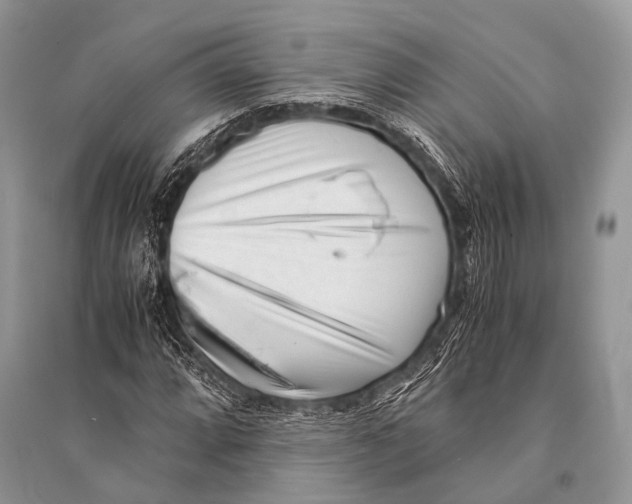 X0000094911064200712201152
