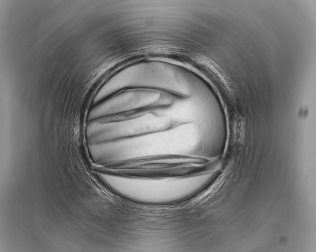 X0000094911065200712201152