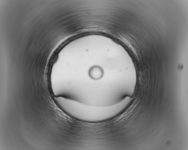 X0000094911068200712201152