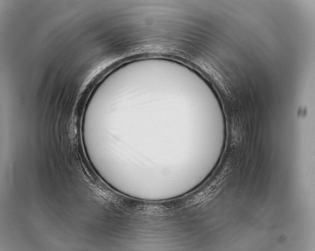 X0000094911070200712201152