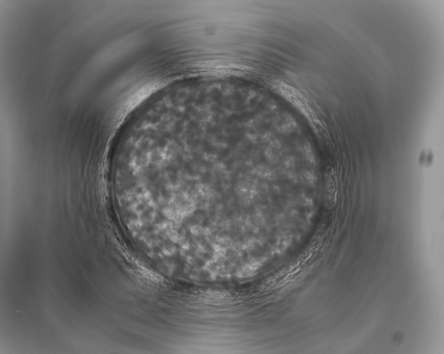 X0000094911071200712201152