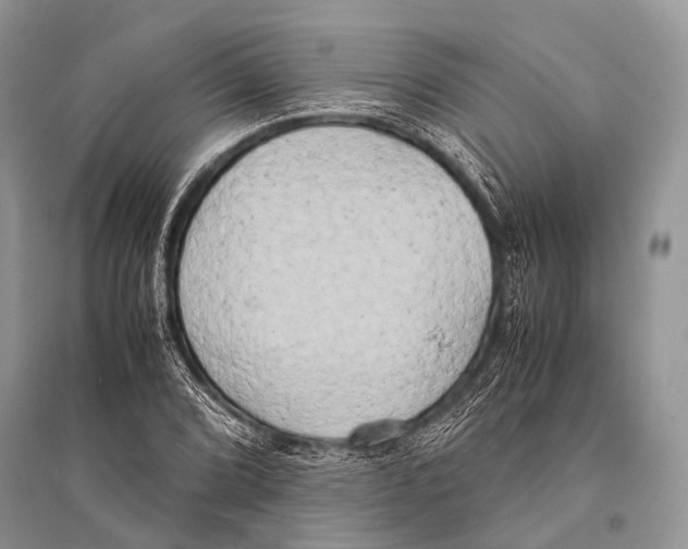X0000094911072200712201152