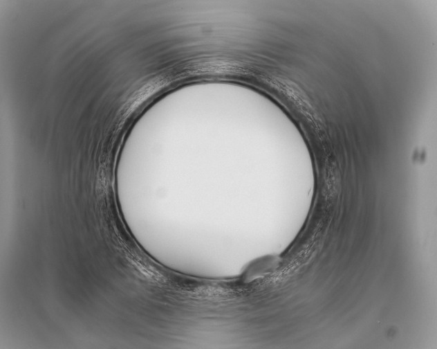 X0000094911073200712201152