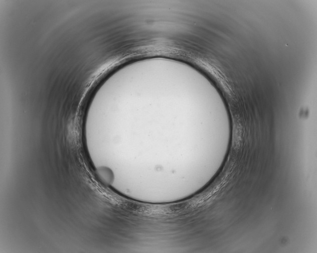 X0000094911074200712201152