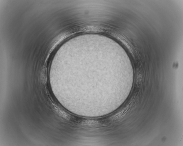 X0000094911075200712201152