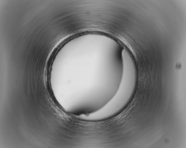 X0000094911076200712201152