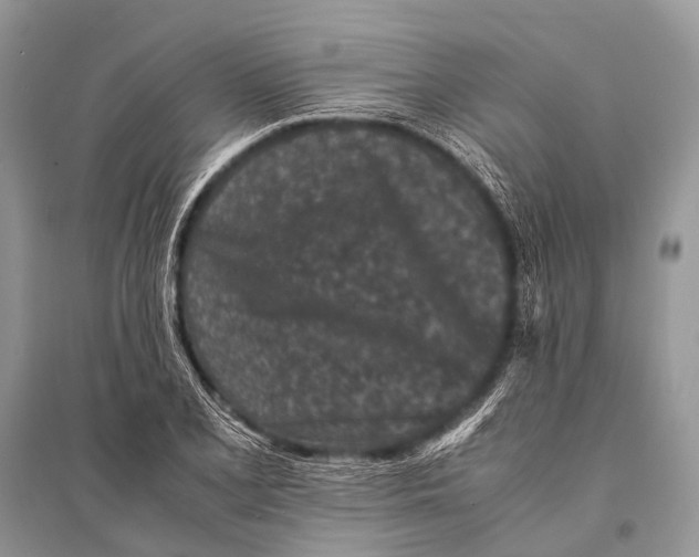 X0000094911077200712201151