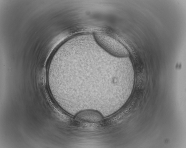 X0000094911079200712201151