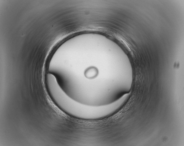 X0000094911080200712201151