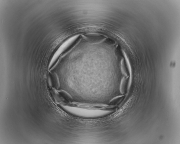 X0000094911081200712201151