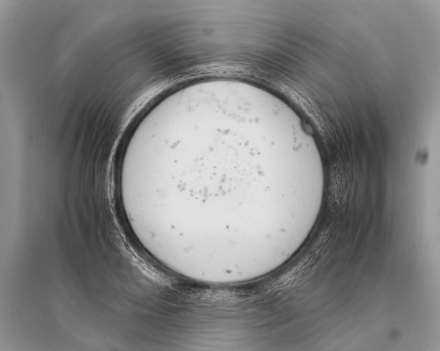 X0000094911082200712201151