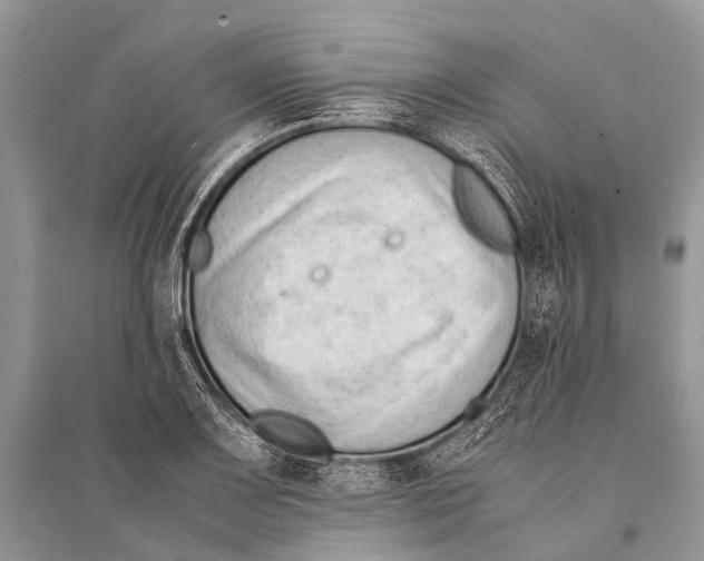 X0000094911083200712201151