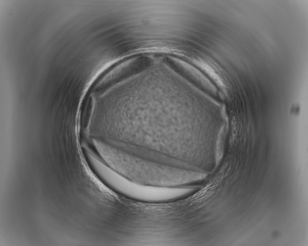 X0000094911084200712201151